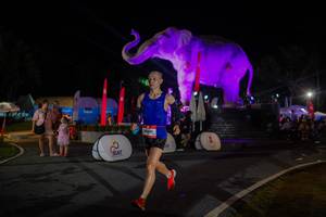 BIB: 
                            <button type="button" onclick="openModal(26552191)" class="btn btn-primary btn-sm float-right btn-popup" data-toggle="modal" data-target=".modal-high-quality">
                        <i class="fas fa-shopping-cart"></i> Add to Cart
                    </button>
                                            <button type="button" onclick="isThisMe(26552191, true)" class="btn btn-success btn-sm float-right btn-popup btn-isme hidden" data-toggle="tooltip" data-placement="bottom" title="นี่คือรูปของคุณใช่ไหม คลิกที่นี่เพื่อเอาเข้าอัลบั้ม">
                        <i class="fas fa-plus"></i> Add to album
                    </button>
                    <button type="button" onclick="isThisMe(26552191, false)" class="btn btn-warning btn-sm float-right btn-popup btn-isnotme hidden">
                        <i class="fas fa-ban"></i> Remove from album
                    </button>